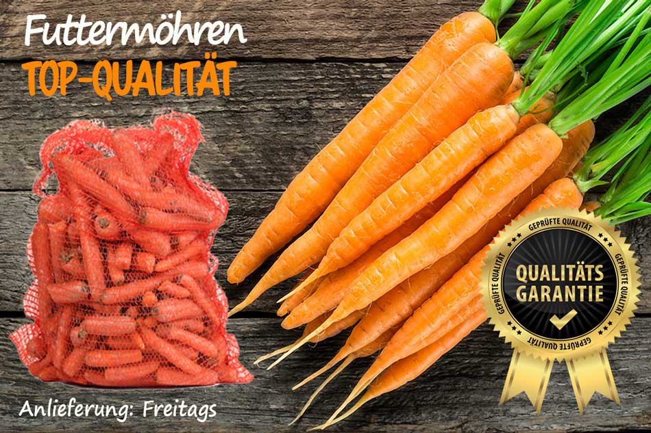 Futtermöhren