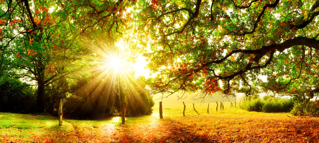 Sonnenuntergang im Herbst